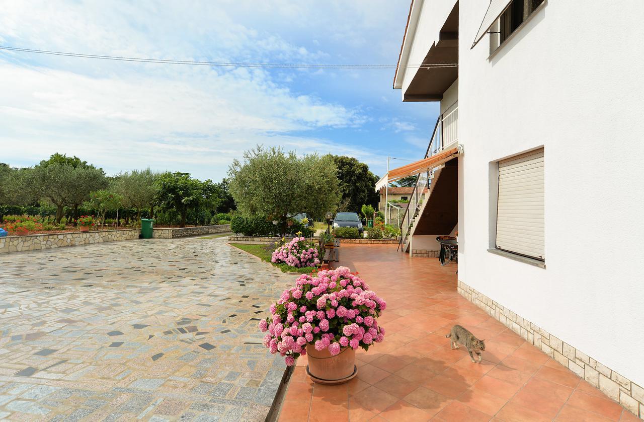 Apartment & Room Tanja 1552 Pula Exterior photo